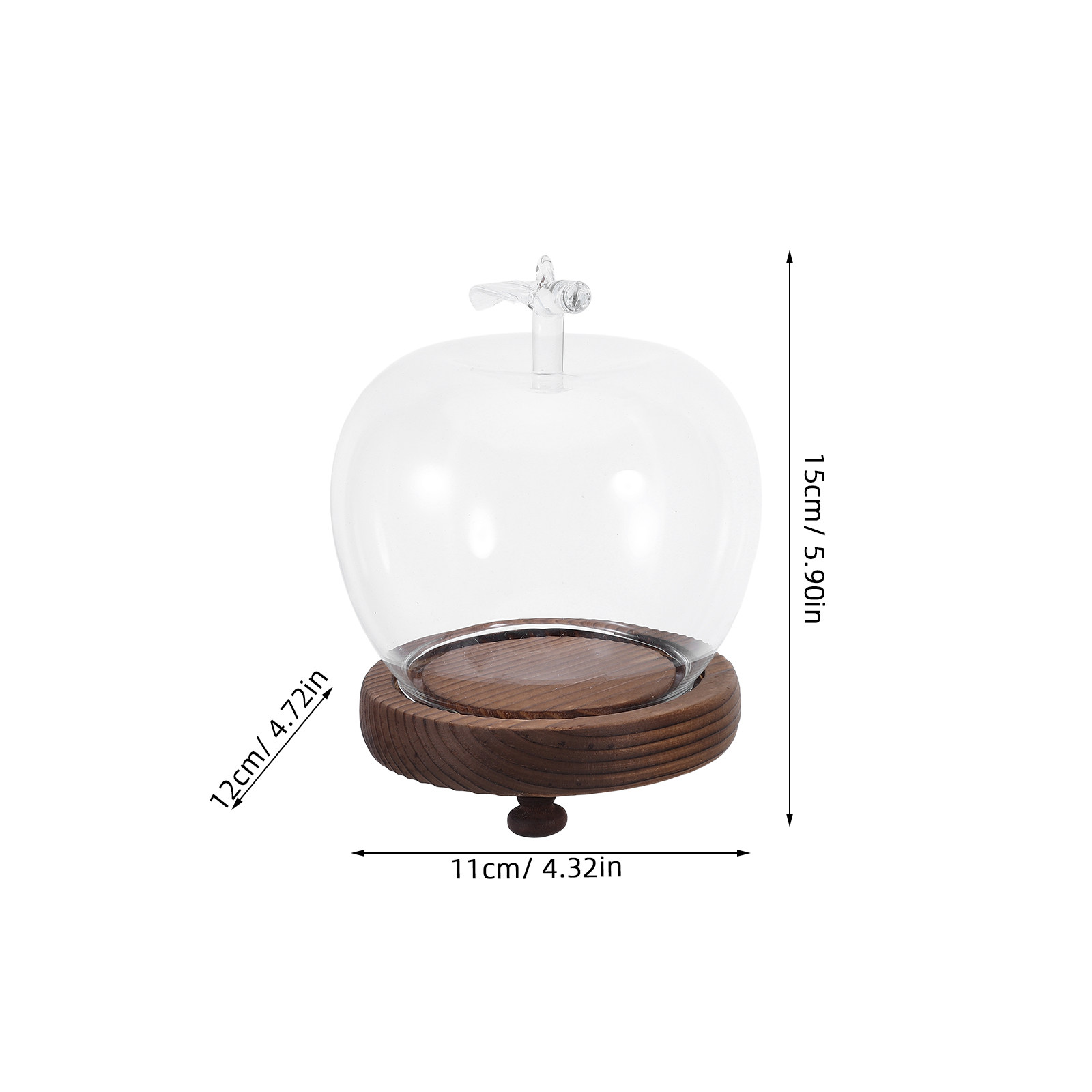 Decorative Glass Dome with Sol - Plastic Dome Clear บทวิจารณ์และราคา