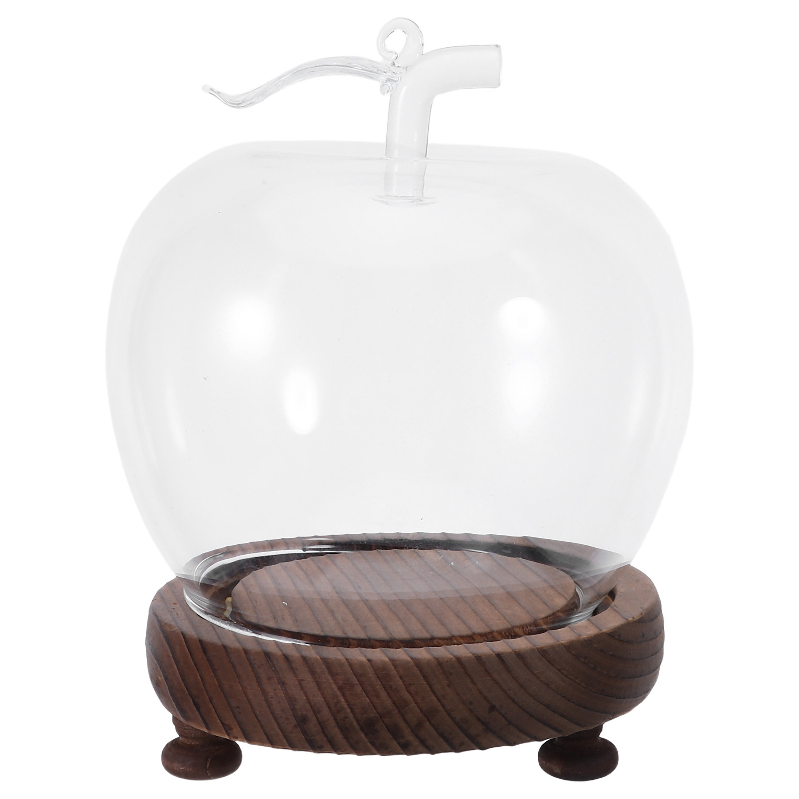 Decorative Glass Dome with Sol - Plastic Dome Clear บทวิจารณ์และราคา