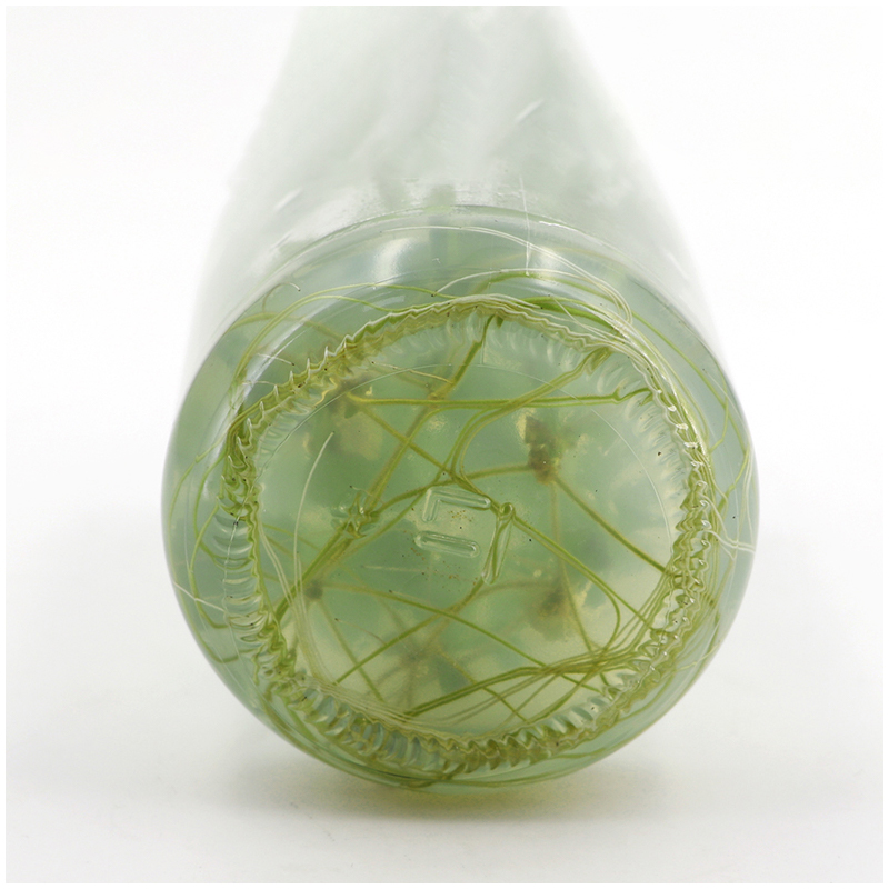 MS medium Without Agar Or Sucr - Agar Tissue Culture บทวิจารณ์และราคา