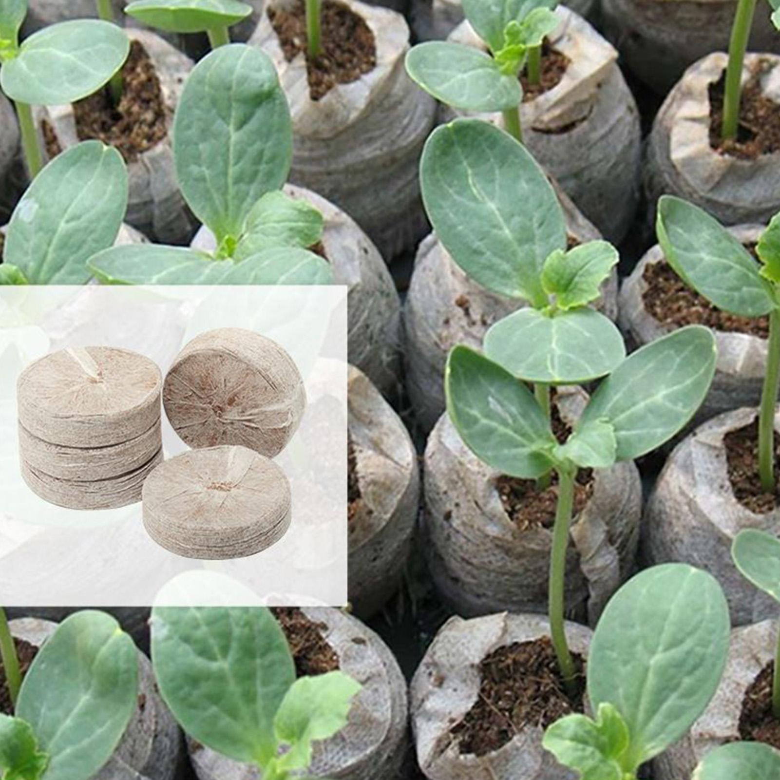 Peat Pellets 100 Piece Potting - Peat Pellet Tray บทวิจารณ์และราคา