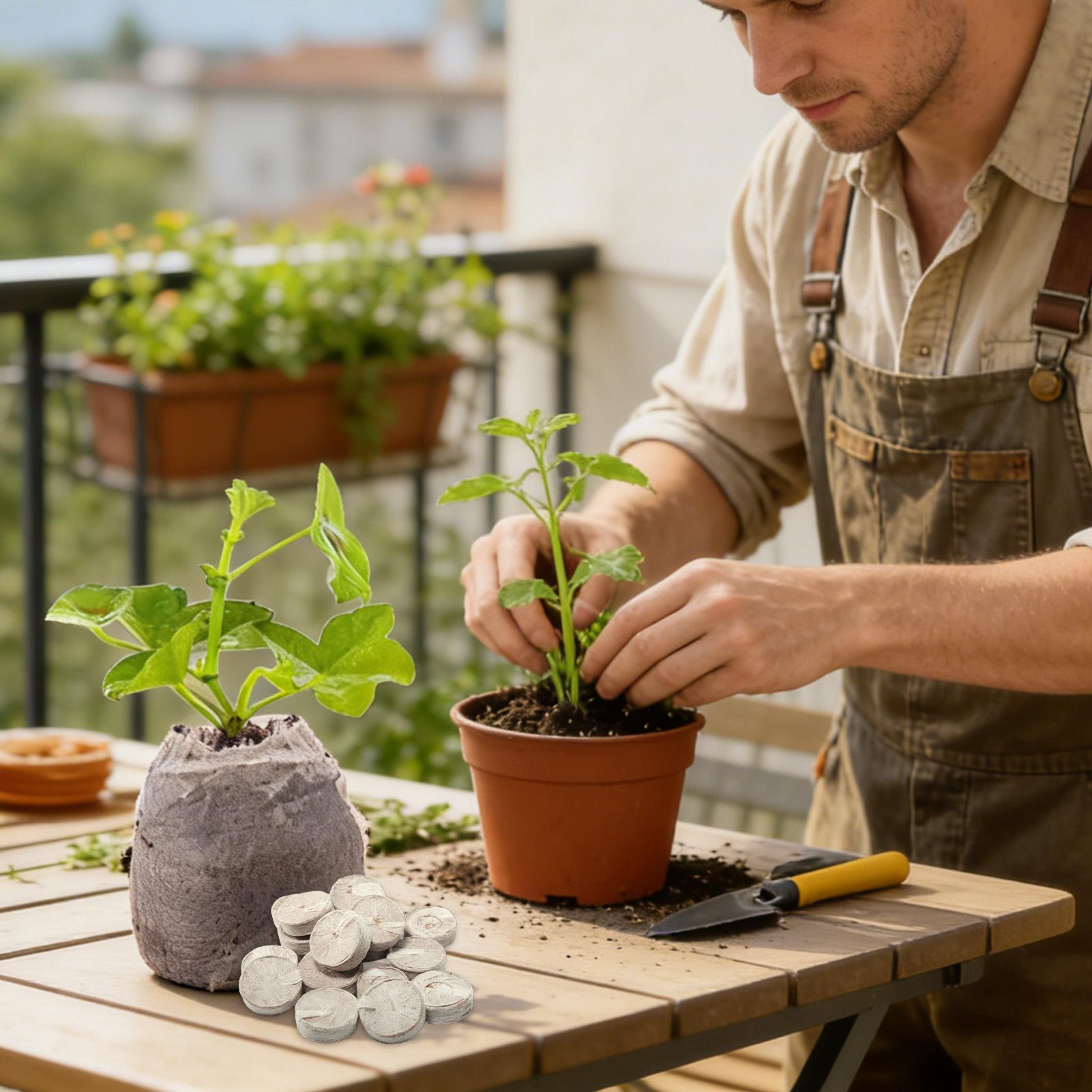 Peat Pellets 100 Piece Potting - Peat Pellet Tray บทวิจารณ์และราคา