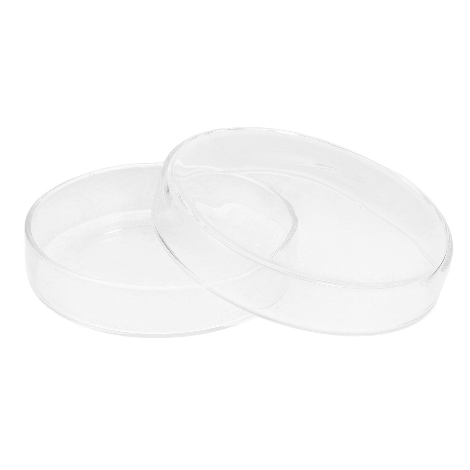 Glass Petri Dish High Borosili - Agar Tissue Culture บทวิจารณ์และราคา