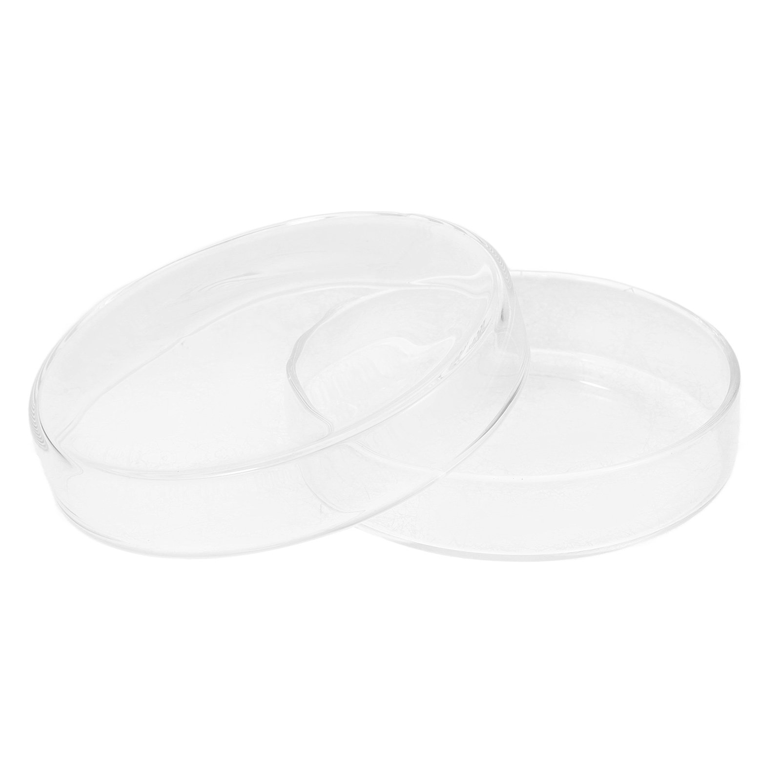Glass Petri Dish High Borosili - Agar Tissue Culture บทวิจารณ์และราคา