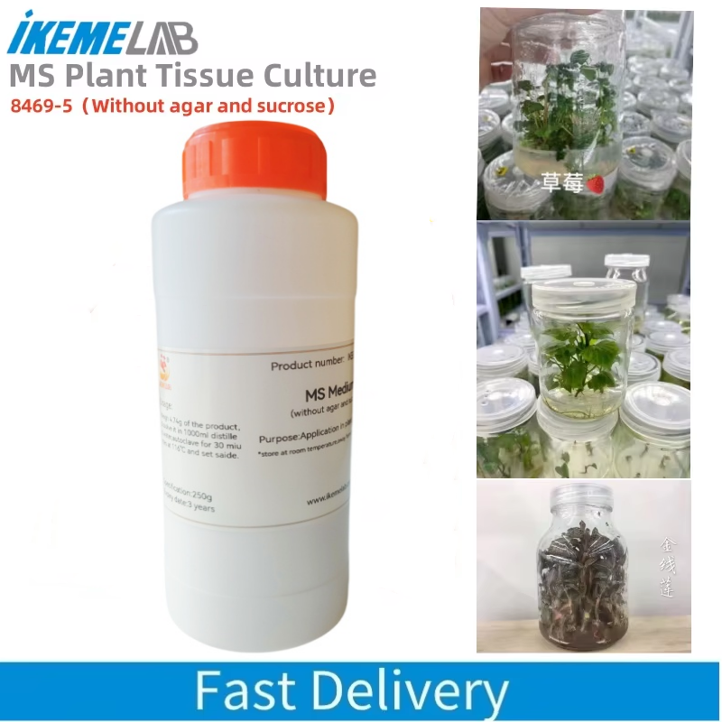 IKEME 250g Lab MS Medium Witho - Agar Tissue Culture บทวิจารณ์และราคา