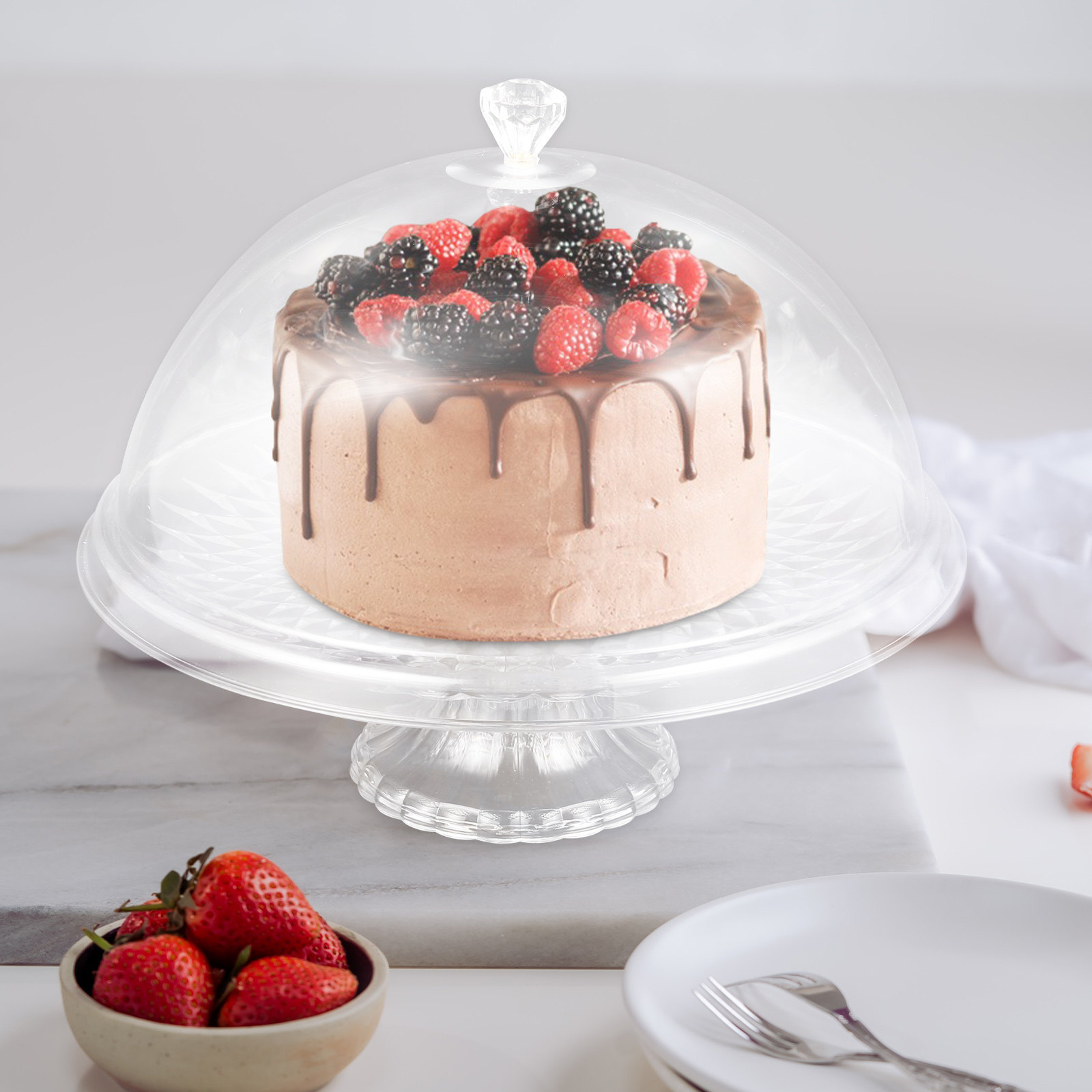Clear Pet Cake Stand with Dome - Plastic Dome Clear บทวิจารณ์และราคา