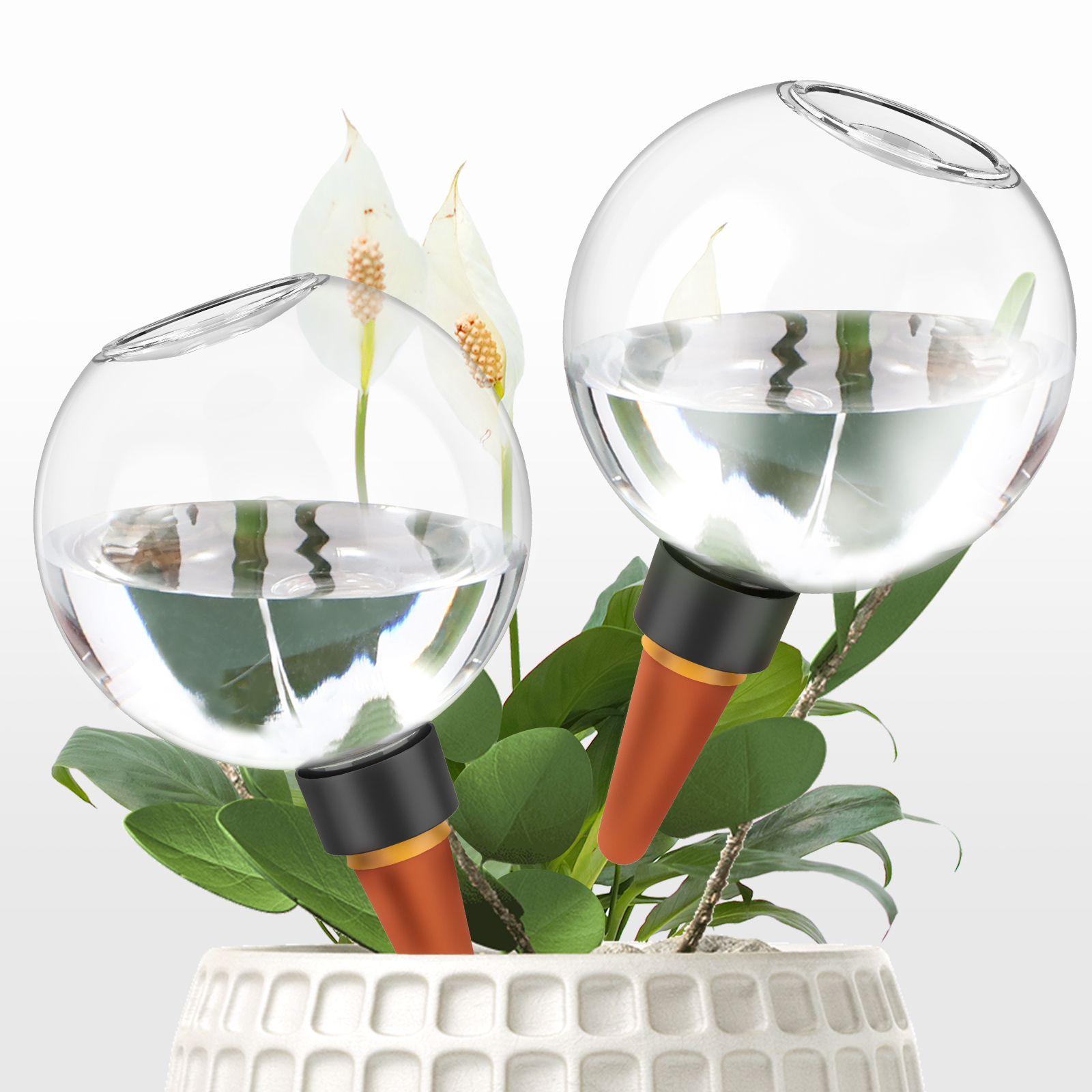 2/4Pcs 500ML Automatic Drip Ir - Self Watering Insert บทวิจารณ์และราคา
