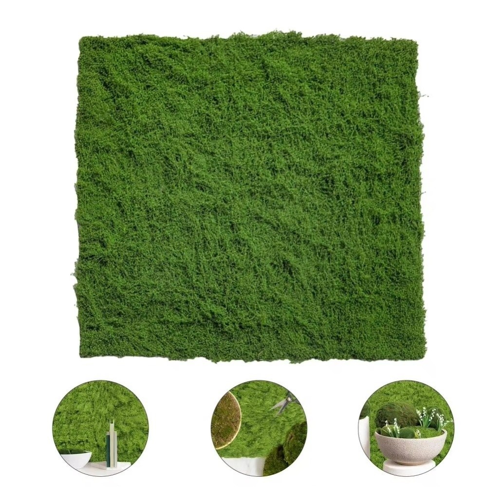DIY Artificial Grass Rug Lifel - Sphagnum Moss Dry บทวิจารณ์และราคา