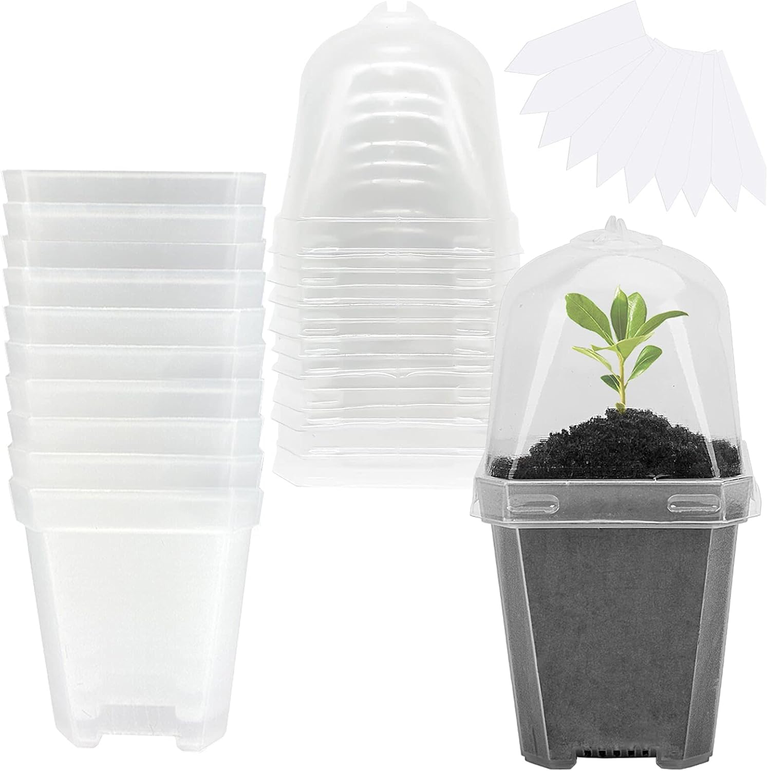 10 PCS Clear Plant Nursery Pot - Plastic Dome Clear บทวิจารณ์และราคา