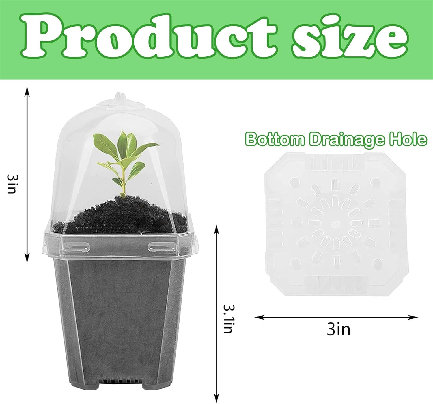 10 PCS Clear Plant Nursery Pot - Plastic Dome Clear บทวิจารณ์และราคา