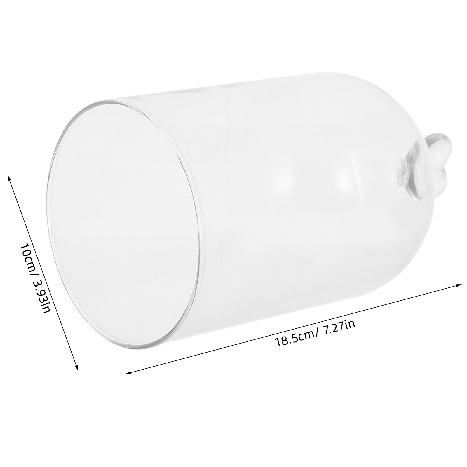 Glass Cloche 6.3x4 Transparent - Plastic Dome Clear บทวิจารณ์และราคา