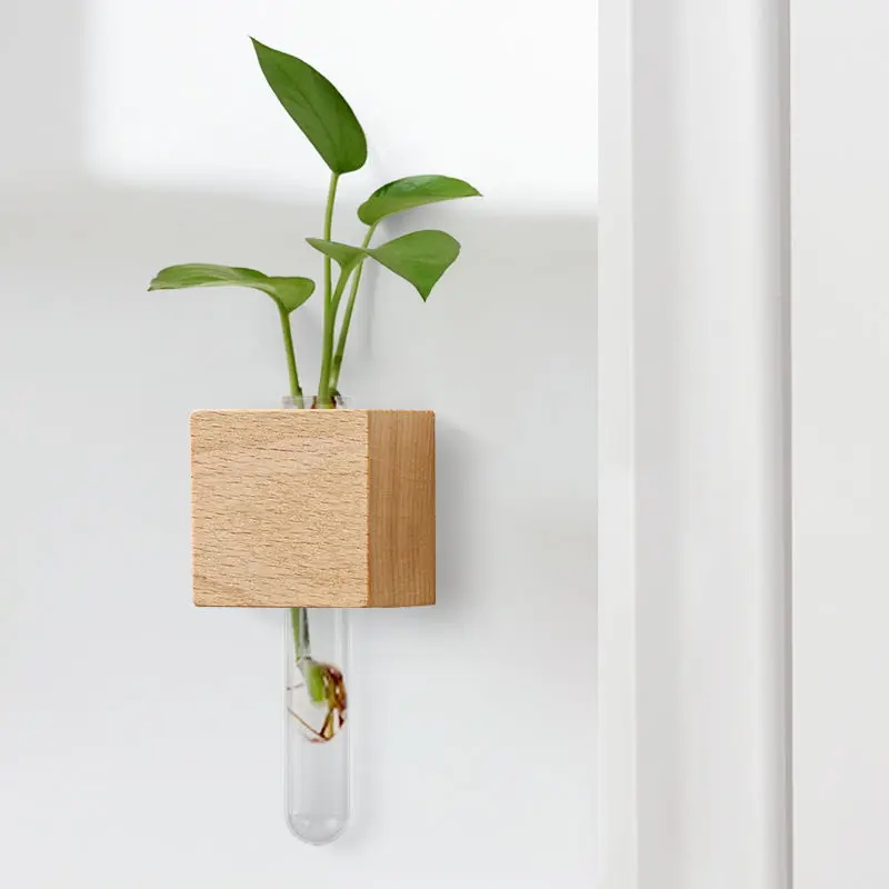 Refrigerator Stickers Test Tub - Propagation Station Vase บทวิจารณ์และราคา