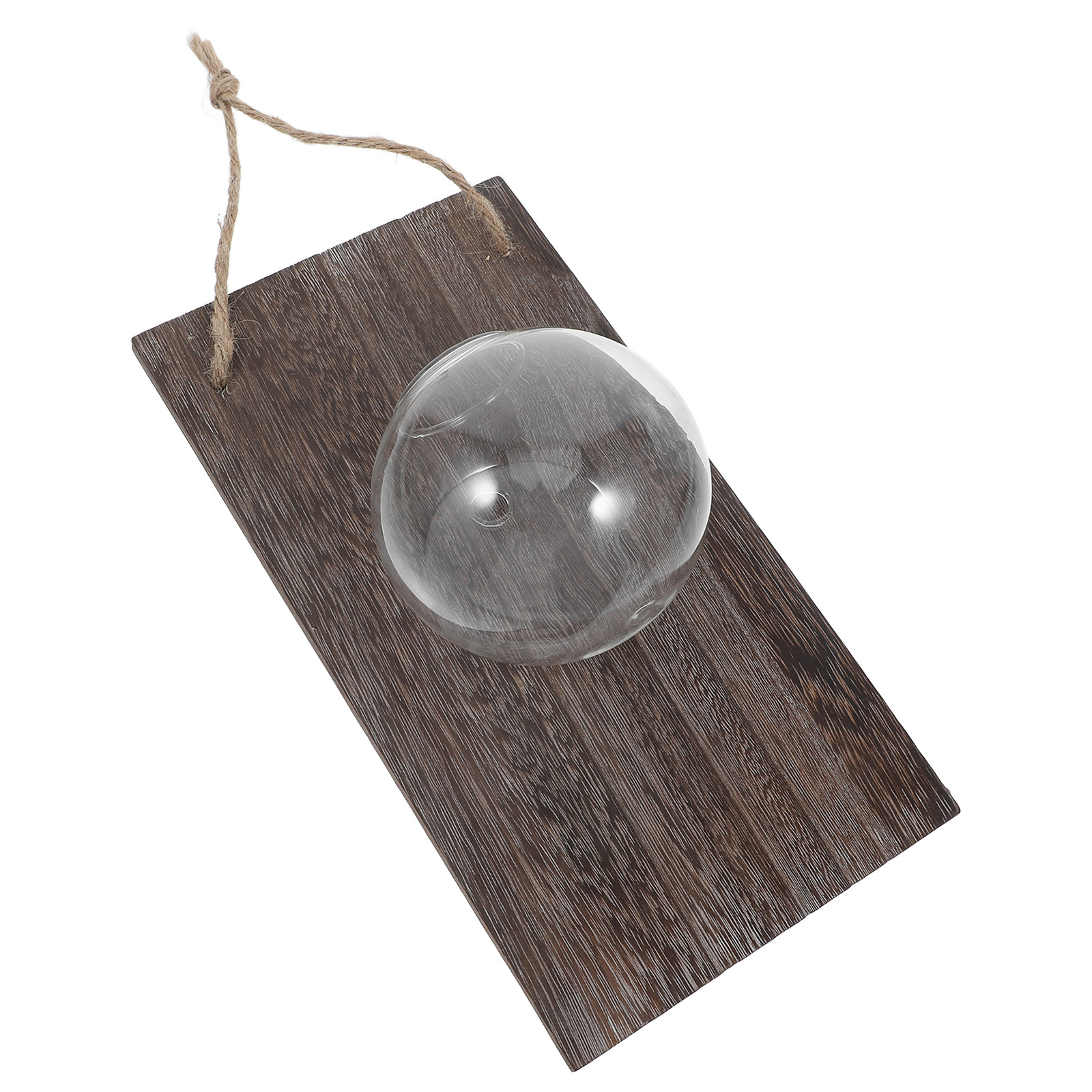 Wall Mounted Glass Vase Hangin - Propagation Station Vase บทวิจารณ์และราคา