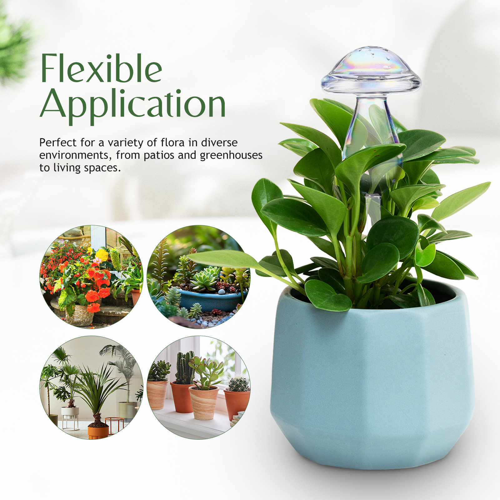 4 Pcs Pot Watering Device Plan - Self Watering Insert บทวิจารณ์และราคา