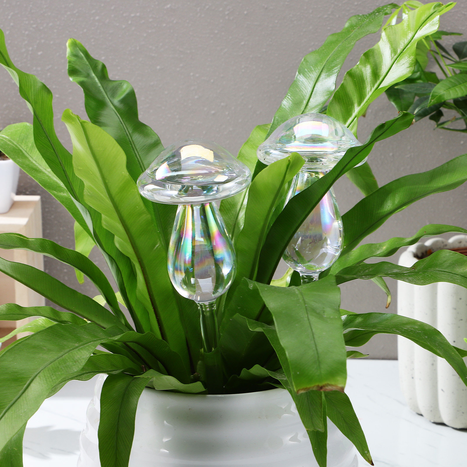 4 Pcs Pot Watering Device Plan - Self Watering Insert บทวิจารณ์และราคา