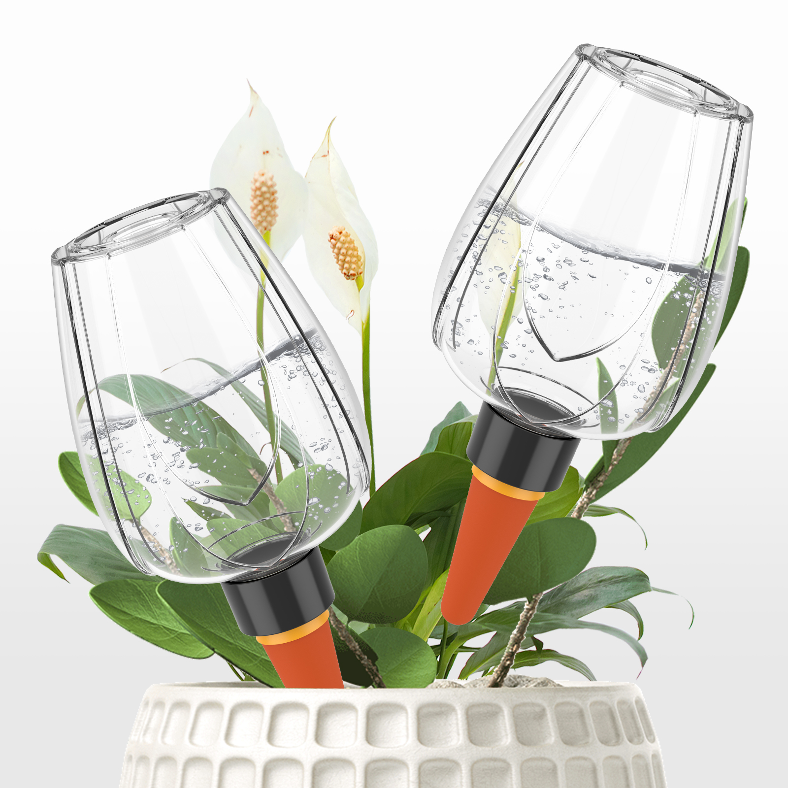 4Pcs Plant Watering Globe Clea - Self Watering Insert บทวิจารณ์และราคา