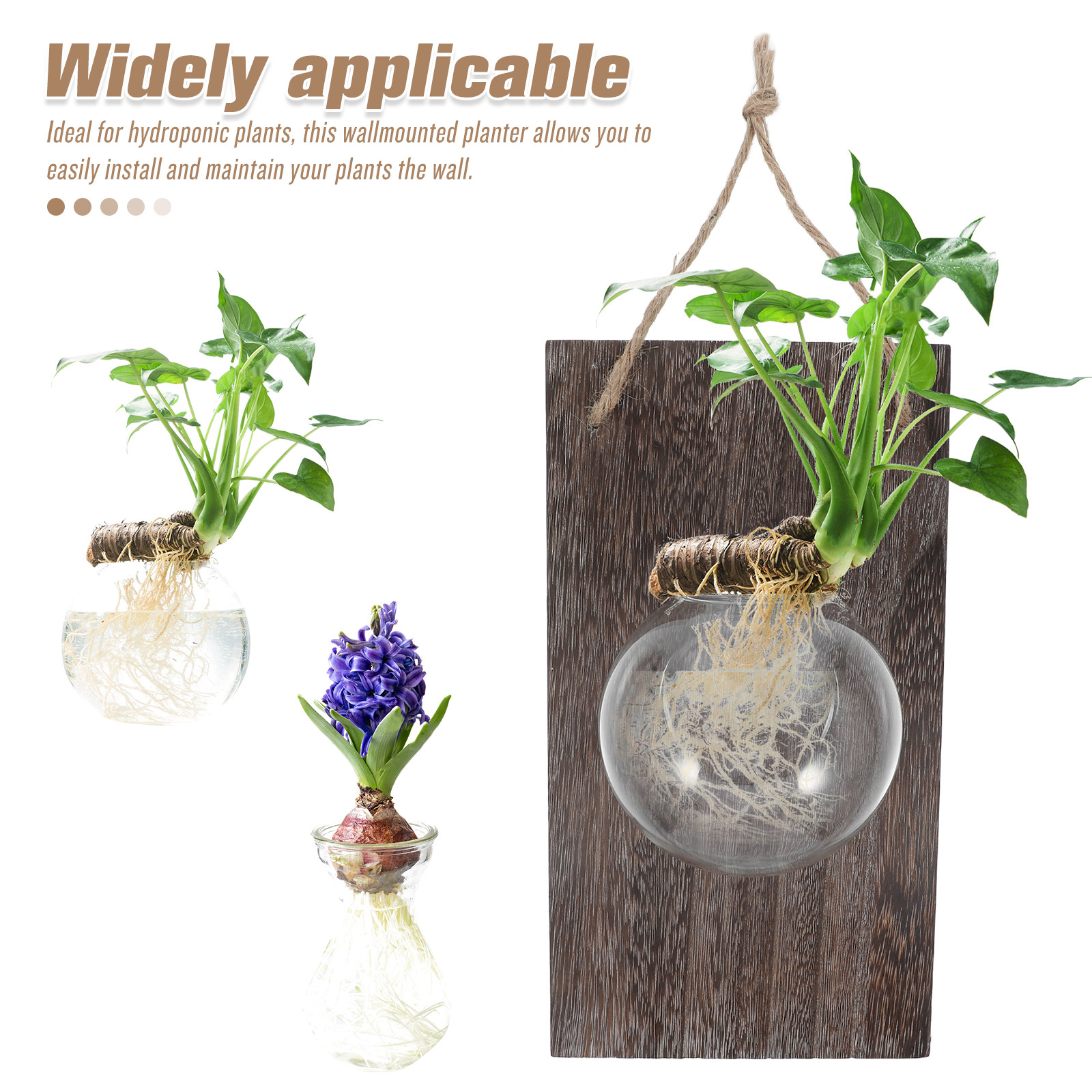 Wall Mounted Glass Planter Han - Propagation Station Vase บทวิจารณ์และราคา