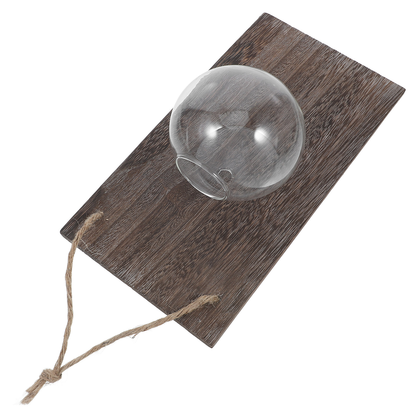 Wall Mounted Glass Planter Han - Propagation Station Vase บทวิจารณ์และราคา