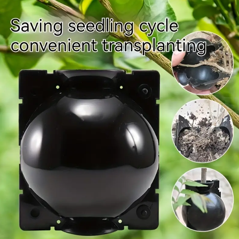 Garden Orchard Plants Grafting - Rooting Gel Clone บทวิจารณ์และราคา