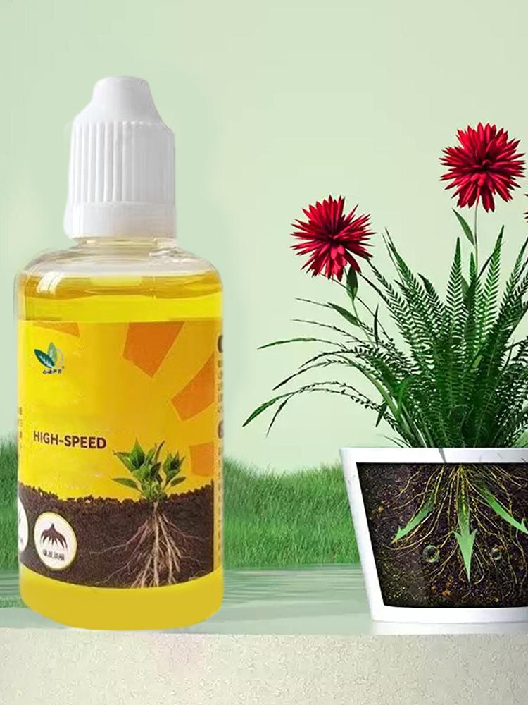 Plant Rooting Stimulator Liqui - Root Stimulator Liquid บทวิจารณ์และราคา