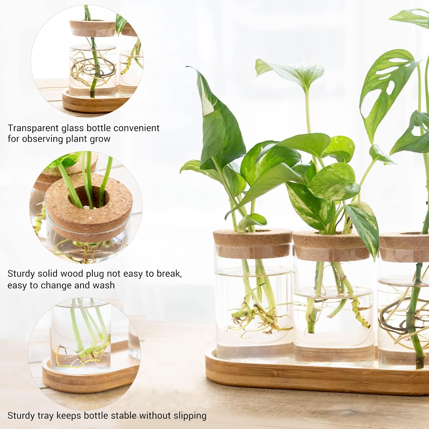 3 Pcs Glass Plant Propagation  - Propagation Station Vase บทวิจารณ์และราคา