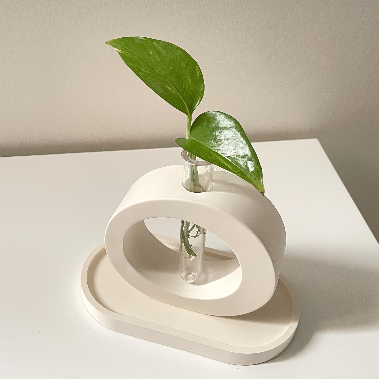 4PCS Flower Vase Silicone Mold - Propagation Station Vase บทวิจารณ์และราคา