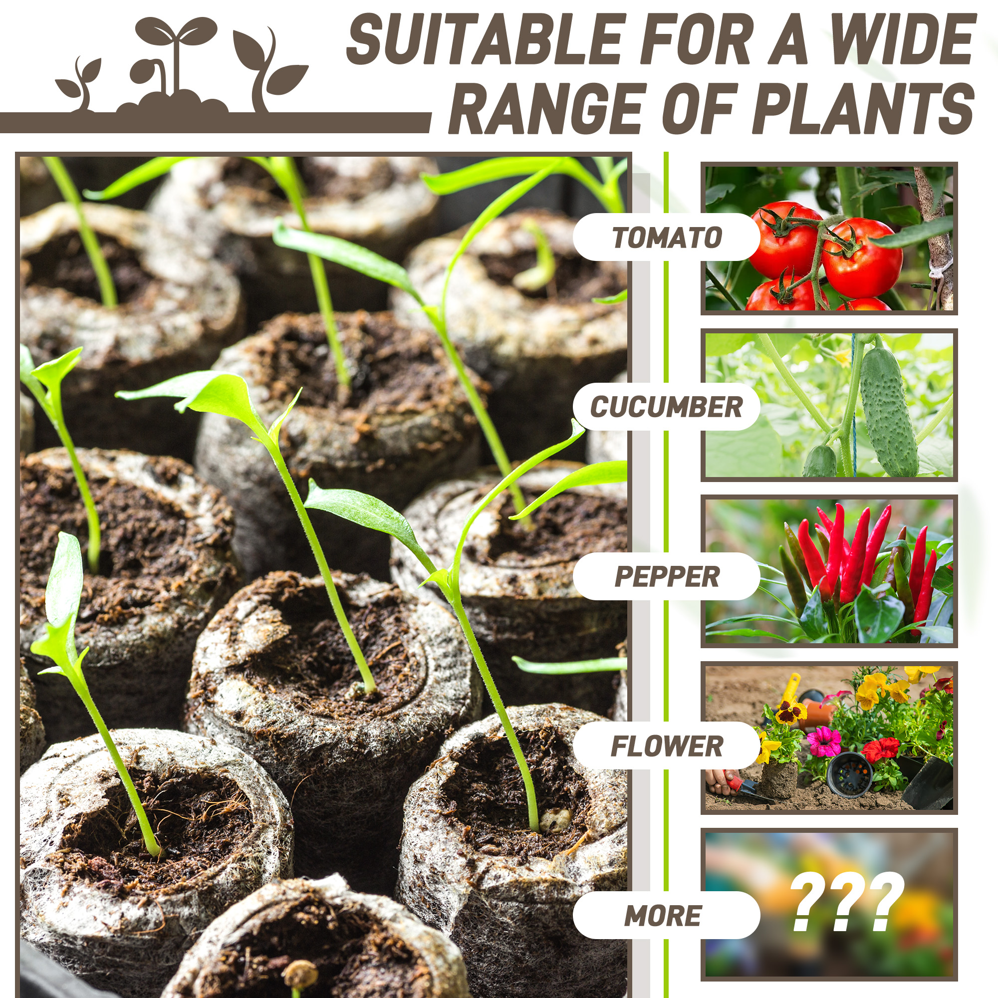 50pcs 35mm Compressed Peat Pel - Peat Pellet Tray บทวิจารณ์และราคา