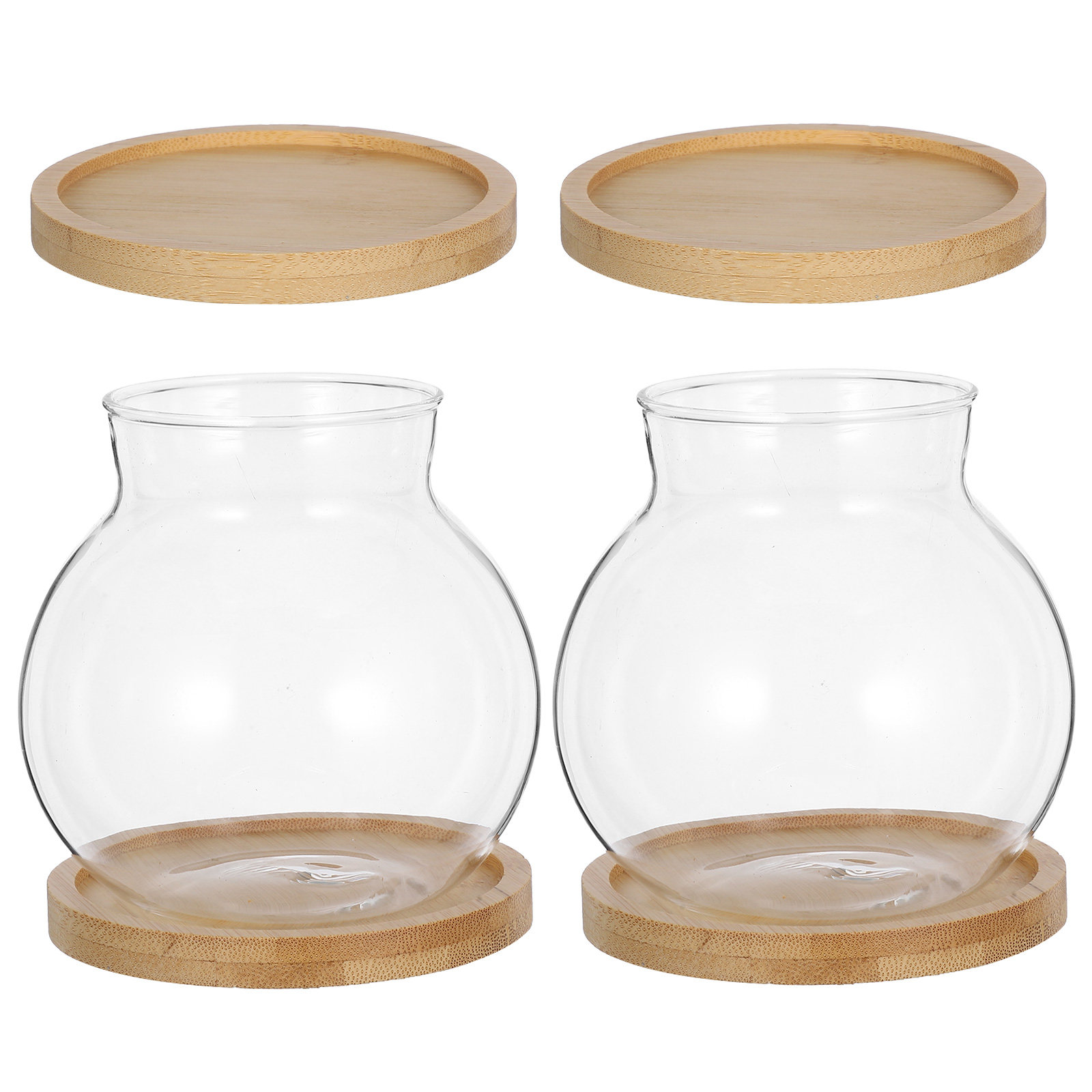 2Set Hydroponic Vase Glass Pro - Propagation Station Vase บทวิจารณ์และราคา