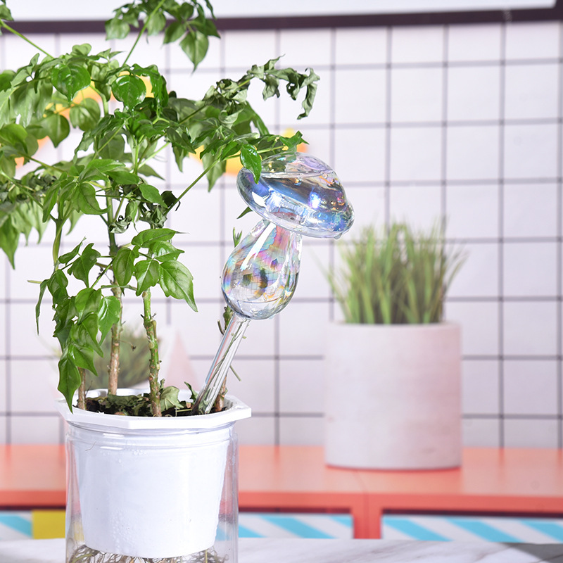 1/2PCS Glass Straw Automatic P - Self Watering Insert บทวิจารณ์และราคา