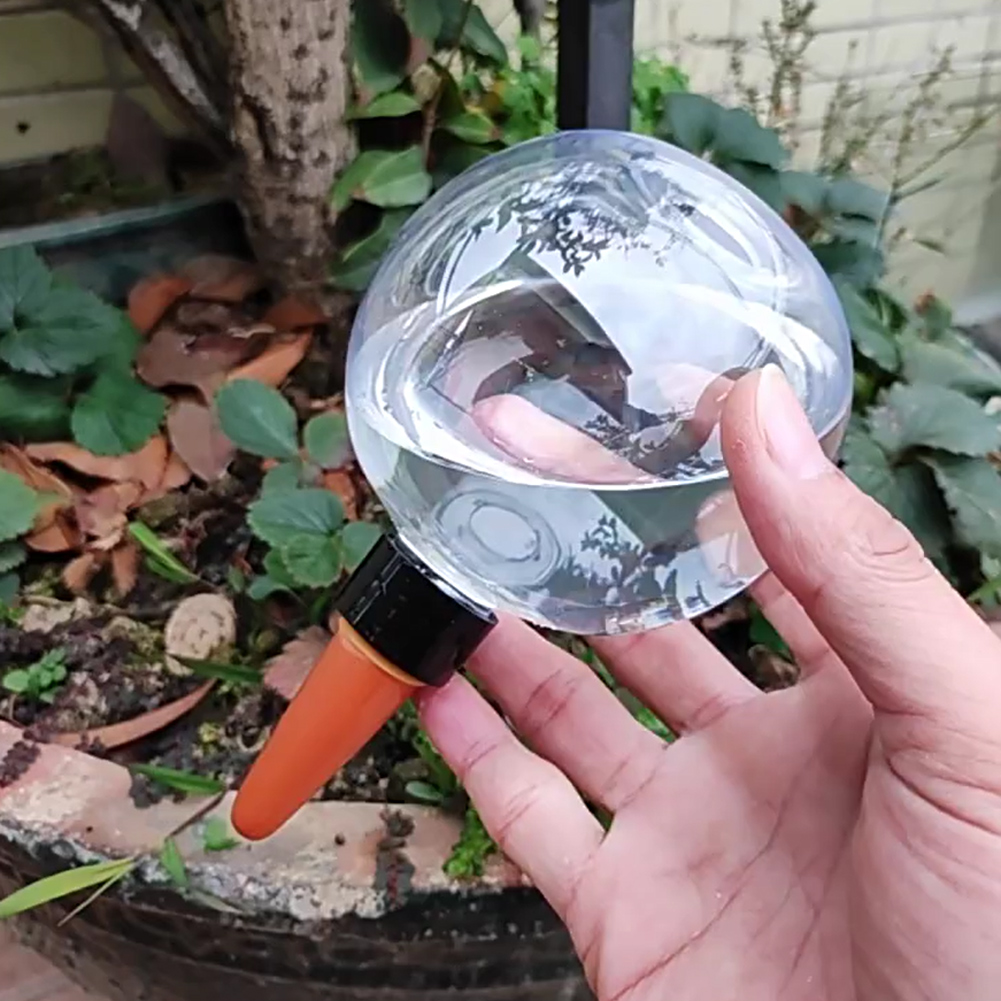 500ML Self Watering Globes Dri - Self Watering Insert บทวิจารณ์และราคา