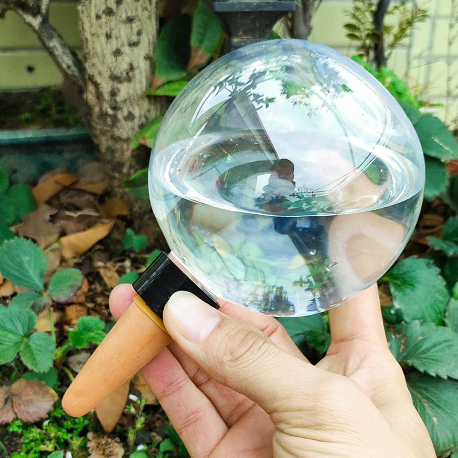 500ML Automatic Plant Watering - Self Watering Insert บทวิจารณ์และราคา