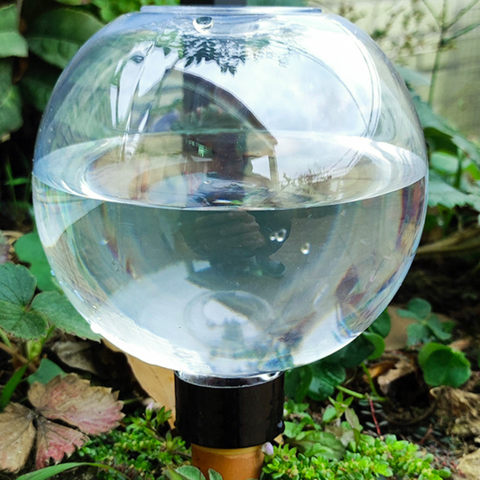 500ML Automatic Plant Watering - Self Watering Insert บทวิจารณ์และราคา