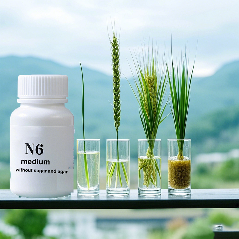 N6 Medium Wtihout Sugar Or Aga - Agar Tissue Culture บทวิจารณ์และราคา