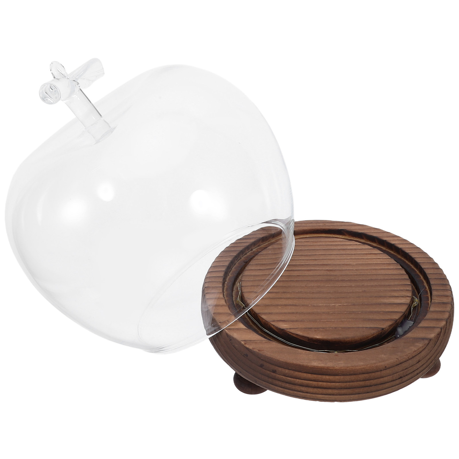 Clear Glass Dome Display with  - Plastic Dome Clear บทวิจารณ์และราคา