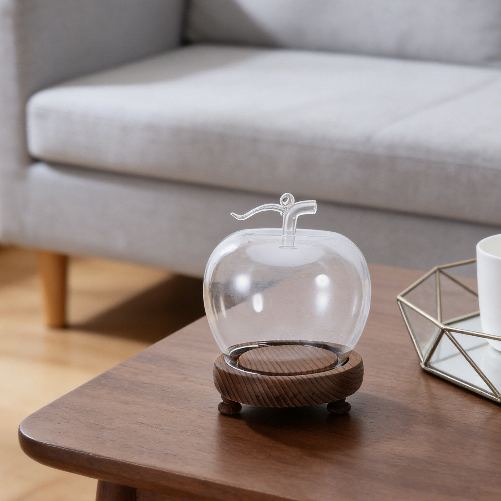 Clear Glass Dome Display with  - Plastic Dome Clear บทวิจารณ์และราคา