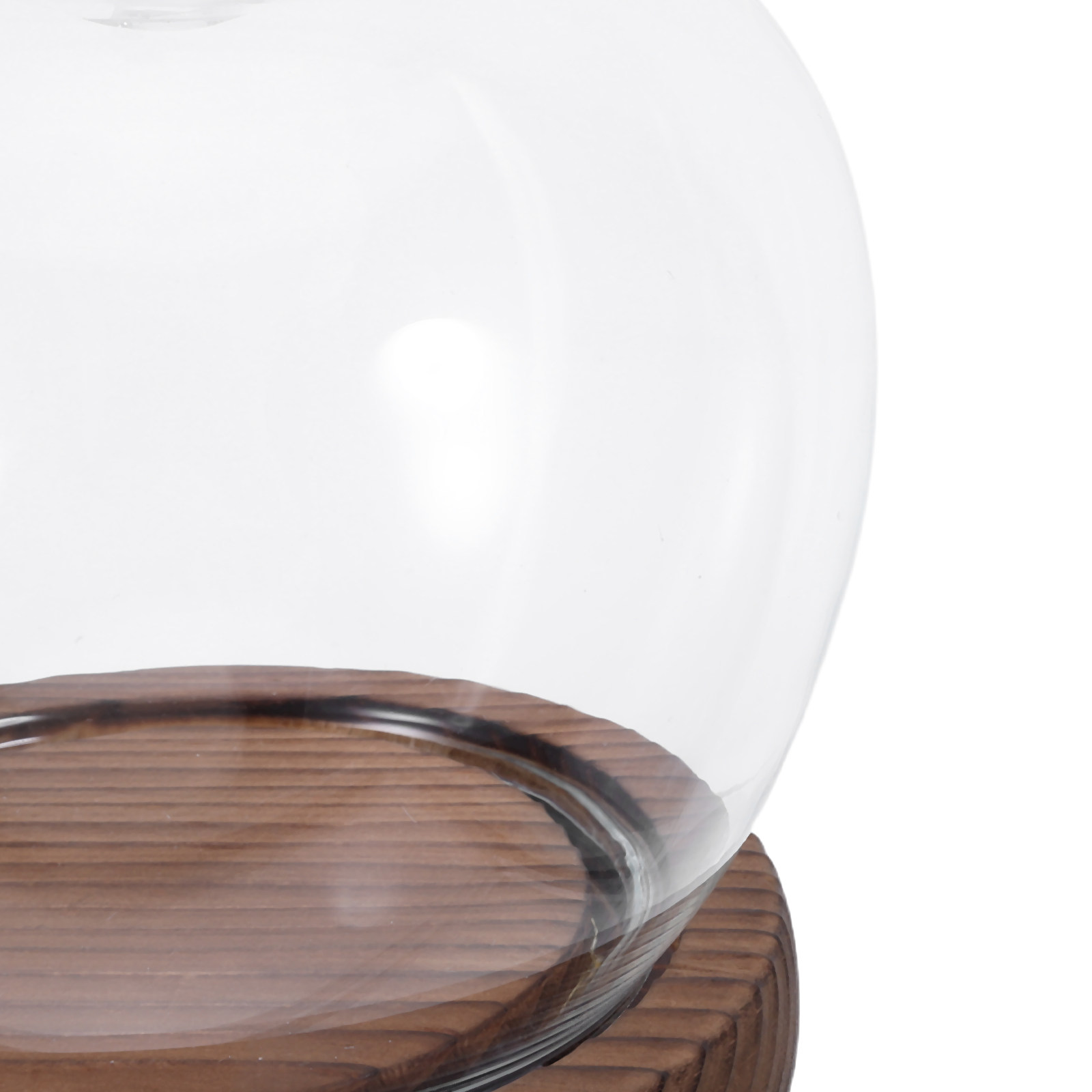 Clear Glass Dome Display with  - Plastic Dome Clear บทวิจารณ์และราคา