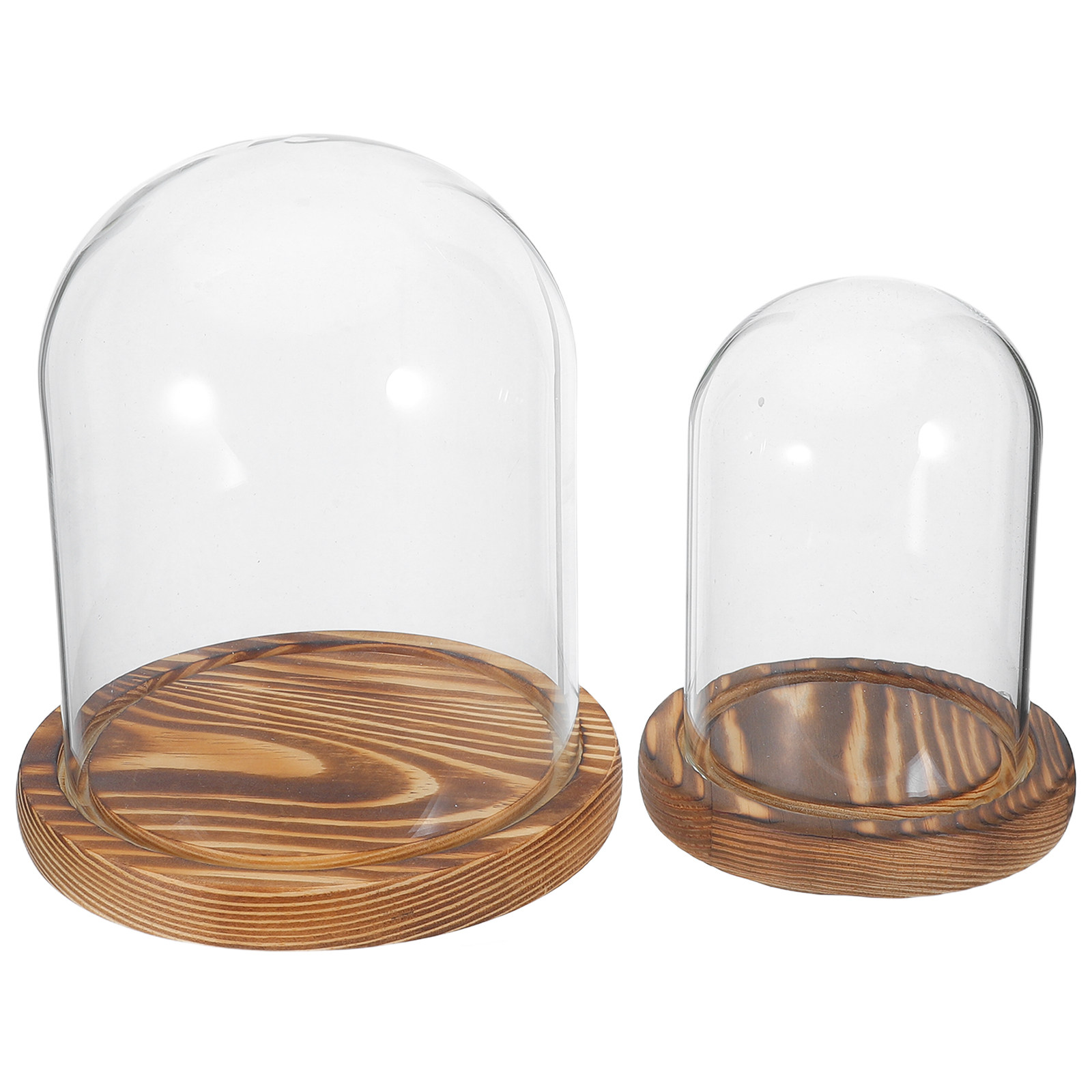 2Sets Clear Glass Display Dome - Plastic Dome Clear บทวิจารณ์และราคา