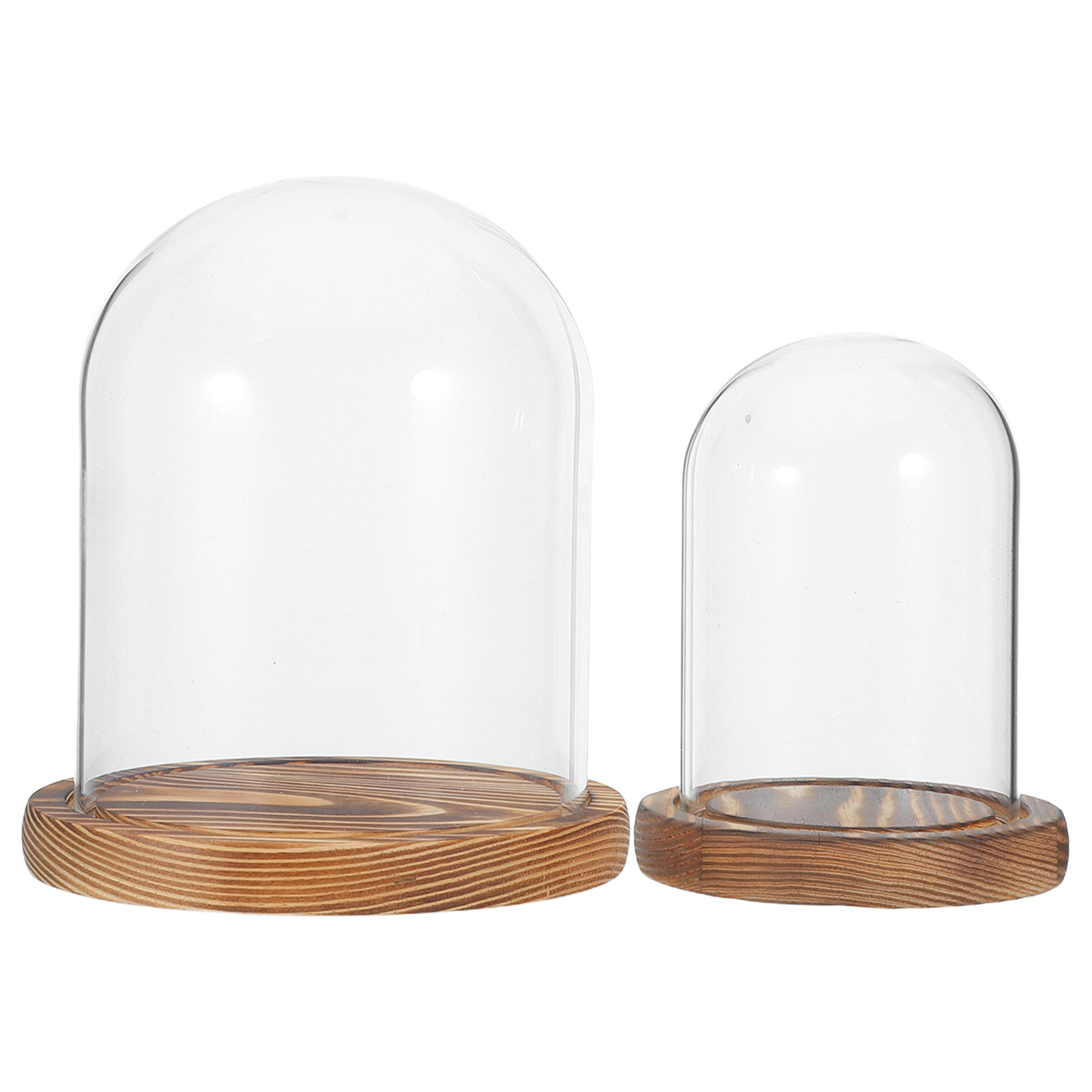 2Sets Clear Glass Display Dome - Plastic Dome Clear บทวิจารณ์และราคา