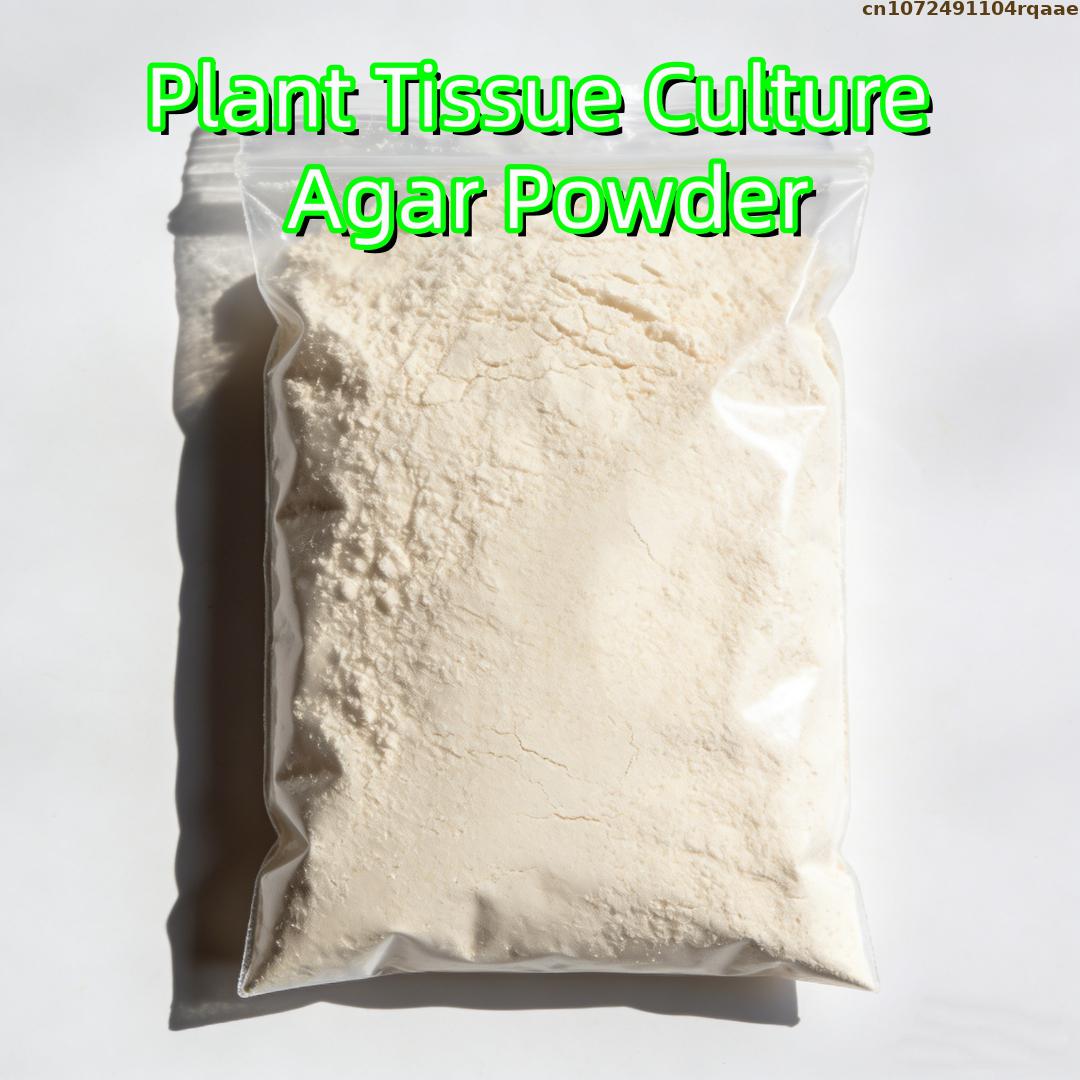 Premium Plant Tissue Culture A - Agar Tissue Culture บทวิจารณ์และราคา