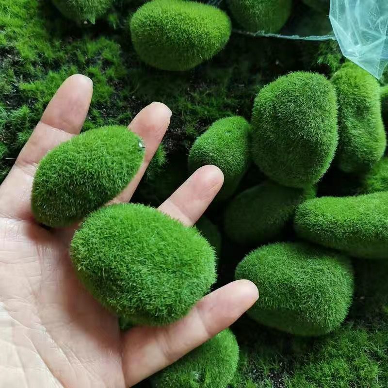 Artificial Green Moss Stones f - Sphagnum Moss Dry บทวิจารณ์และราคา