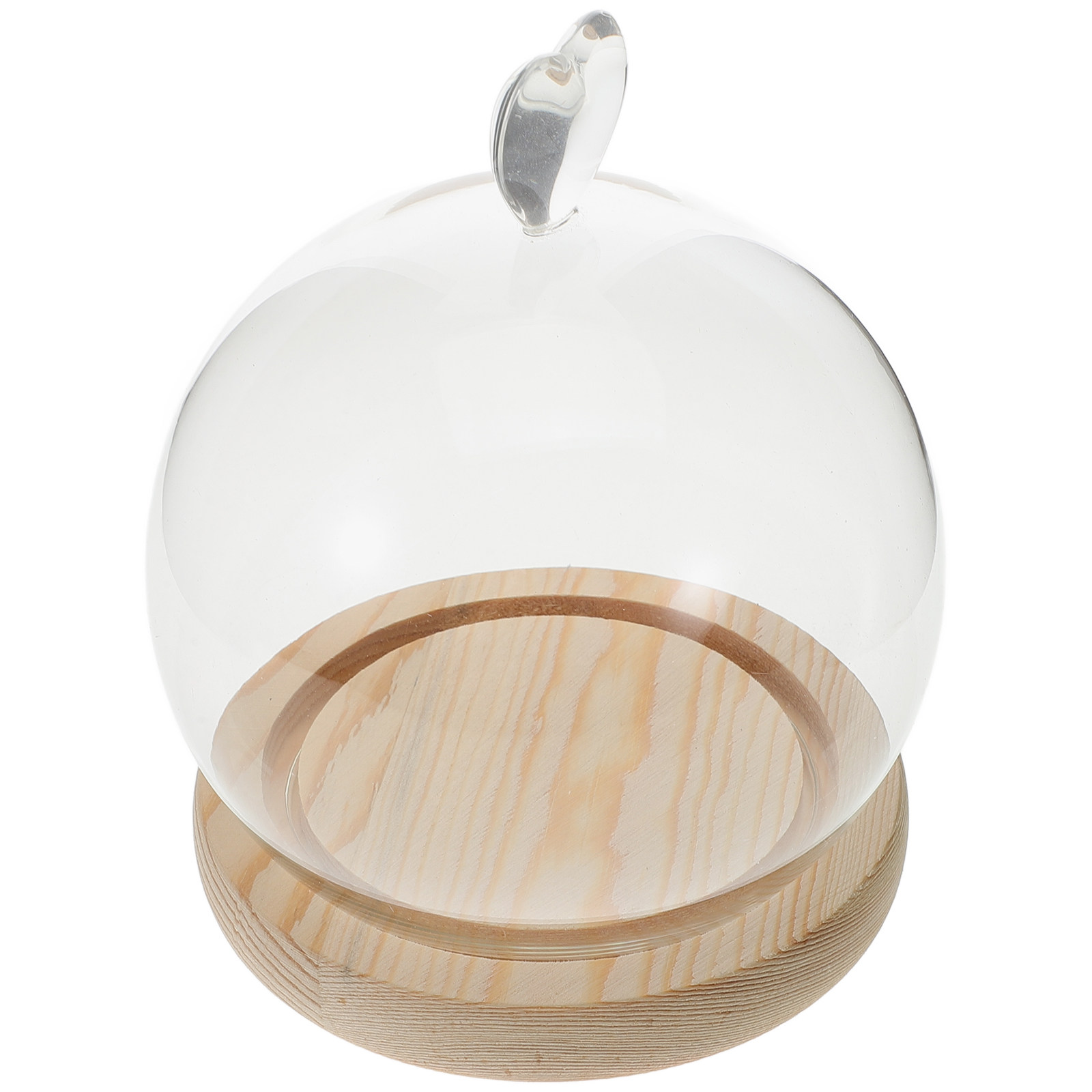 1Set Glass Dome Cloche Heart S - Plastic Dome Clear บทวิจารณ์และราคา