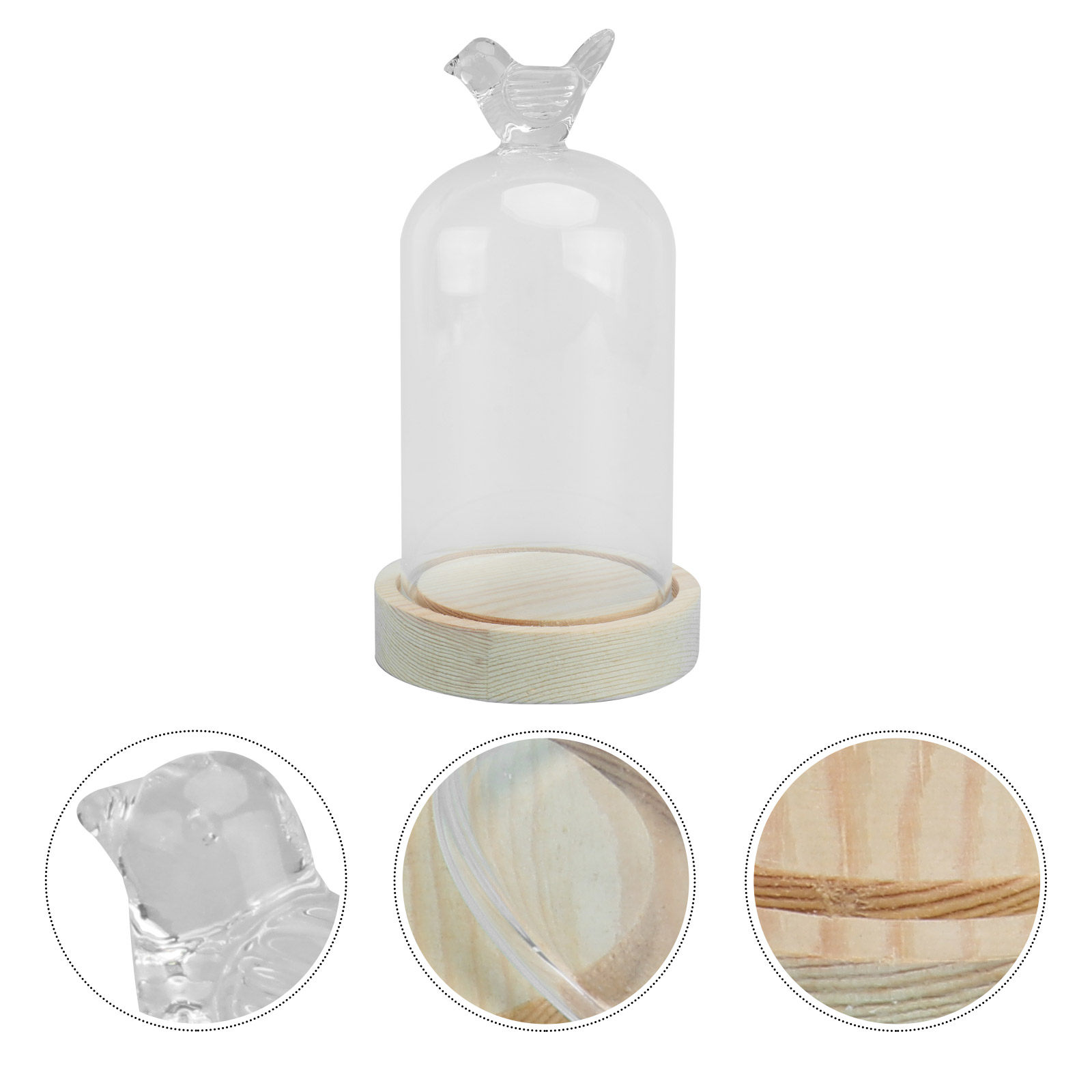 1Pcs Glass Display Cover Clear - Plastic Dome Clear บทวิจารณ์และราคา