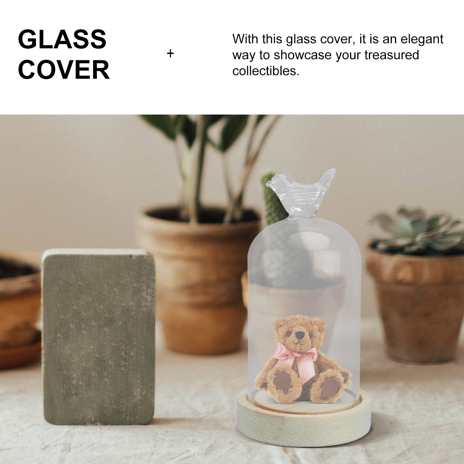 1Pcs Glass Display Cover Clear - Plastic Dome Clear บทวิจารณ์และราคา