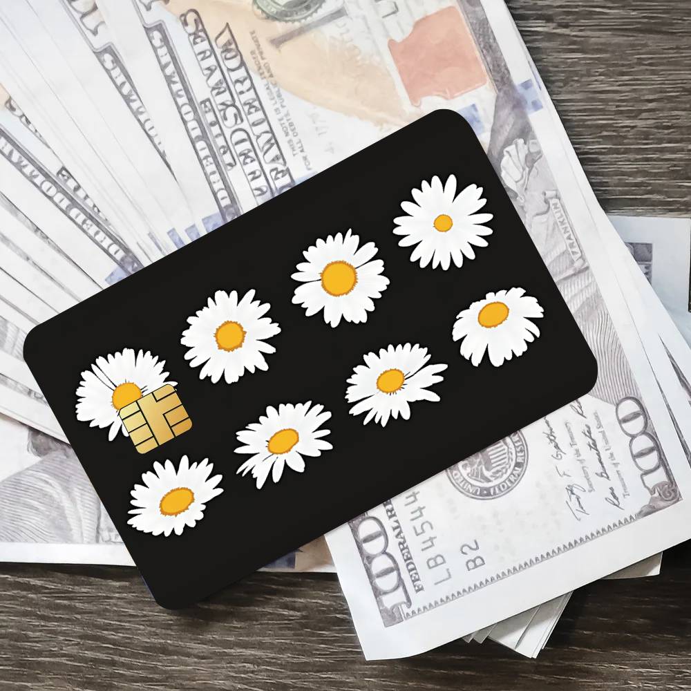 Fashion Art P-Peaceminusone Co - Peat Pellet Tray บทวิจารณ์และราคา