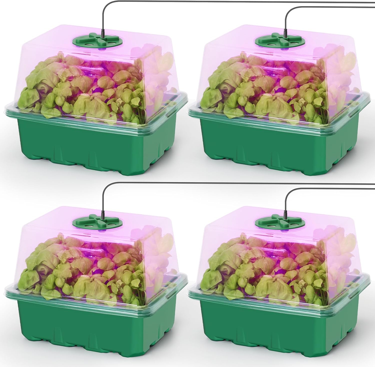 Seed Starter Kit with Grow Lig - Humidity Dome Kit บทวิจารณ์และราคา