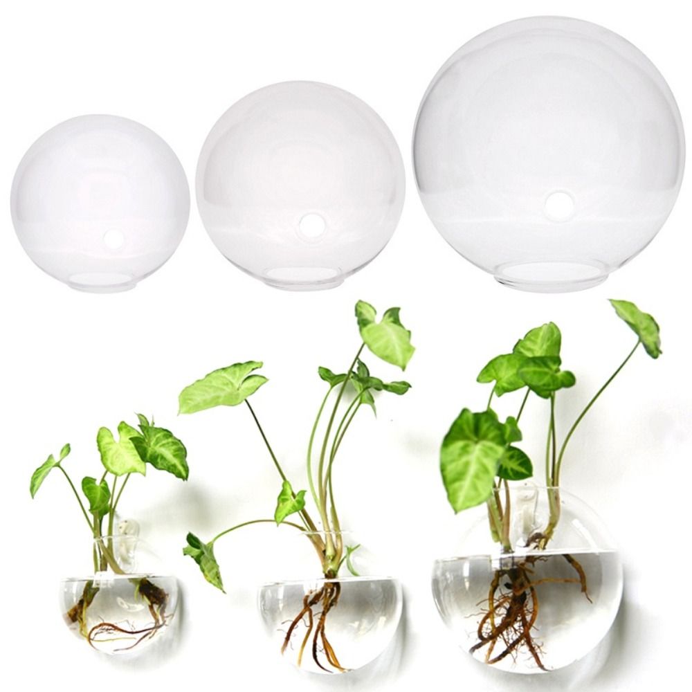 Transparent Glass Vase Wall Ha - Propagation Station Vase บทวิจารณ์และราคา