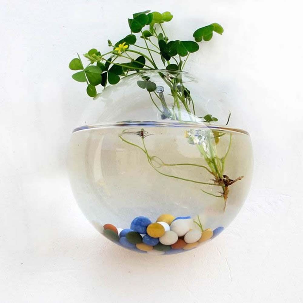 Transparent Glass Vase Wall Ha - Propagation Station Vase บทวิจารณ์และราคา