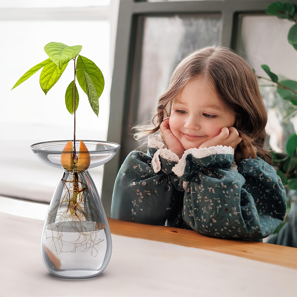 Avocado Seed Starter Vase Tran - Propagation Station Vase บทวิจารณ์และราคา