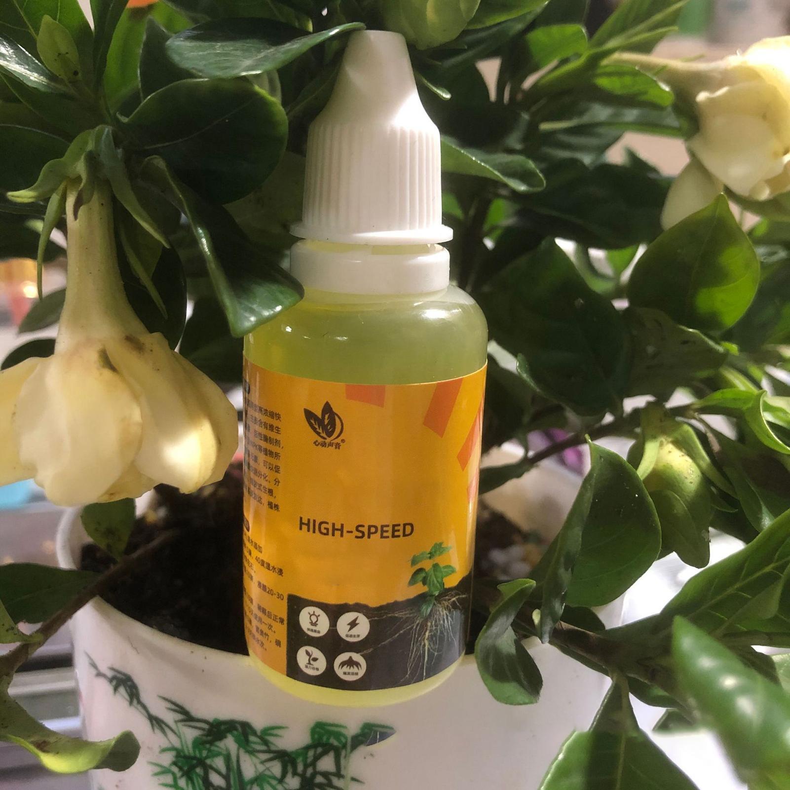Plant Rapid Rooting Solution 5 - Root Stimulator Liquid บทวิจารณ์และราคา