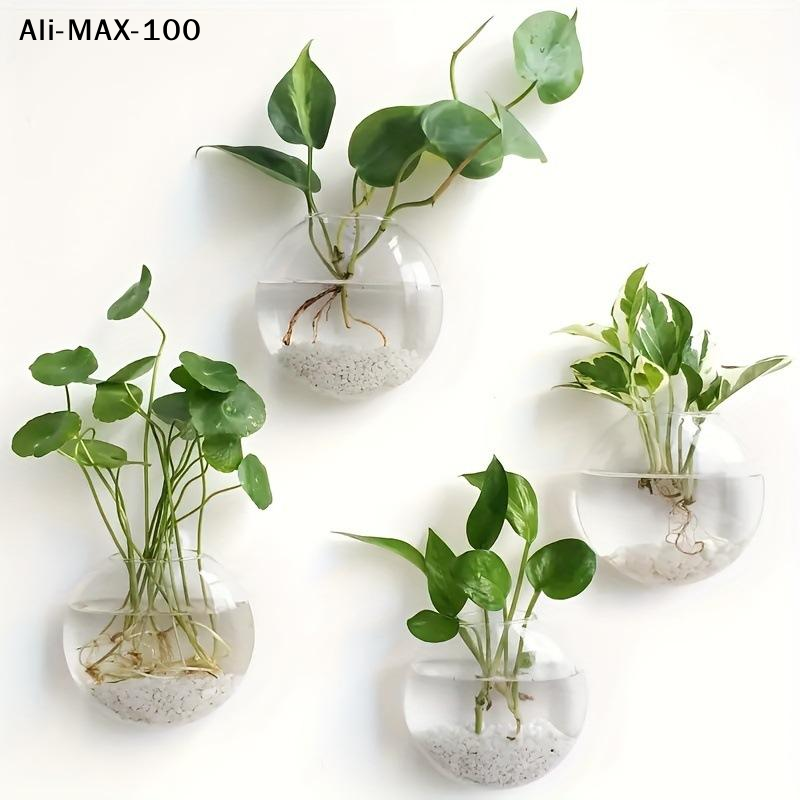 【MA3】Wall Hanging Glass Plant  - Propagation Station Vase บทวิจารณ์และราคา