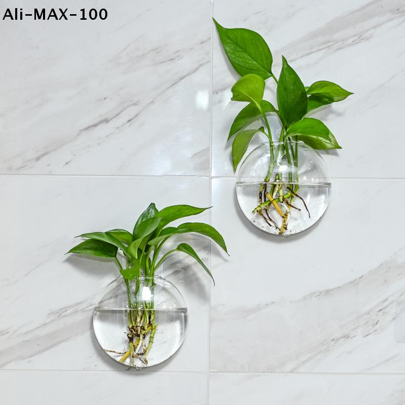 【MA3】Wall Hanging Glass Plant  - Propagation Station Vase บทวิจารณ์และราคา